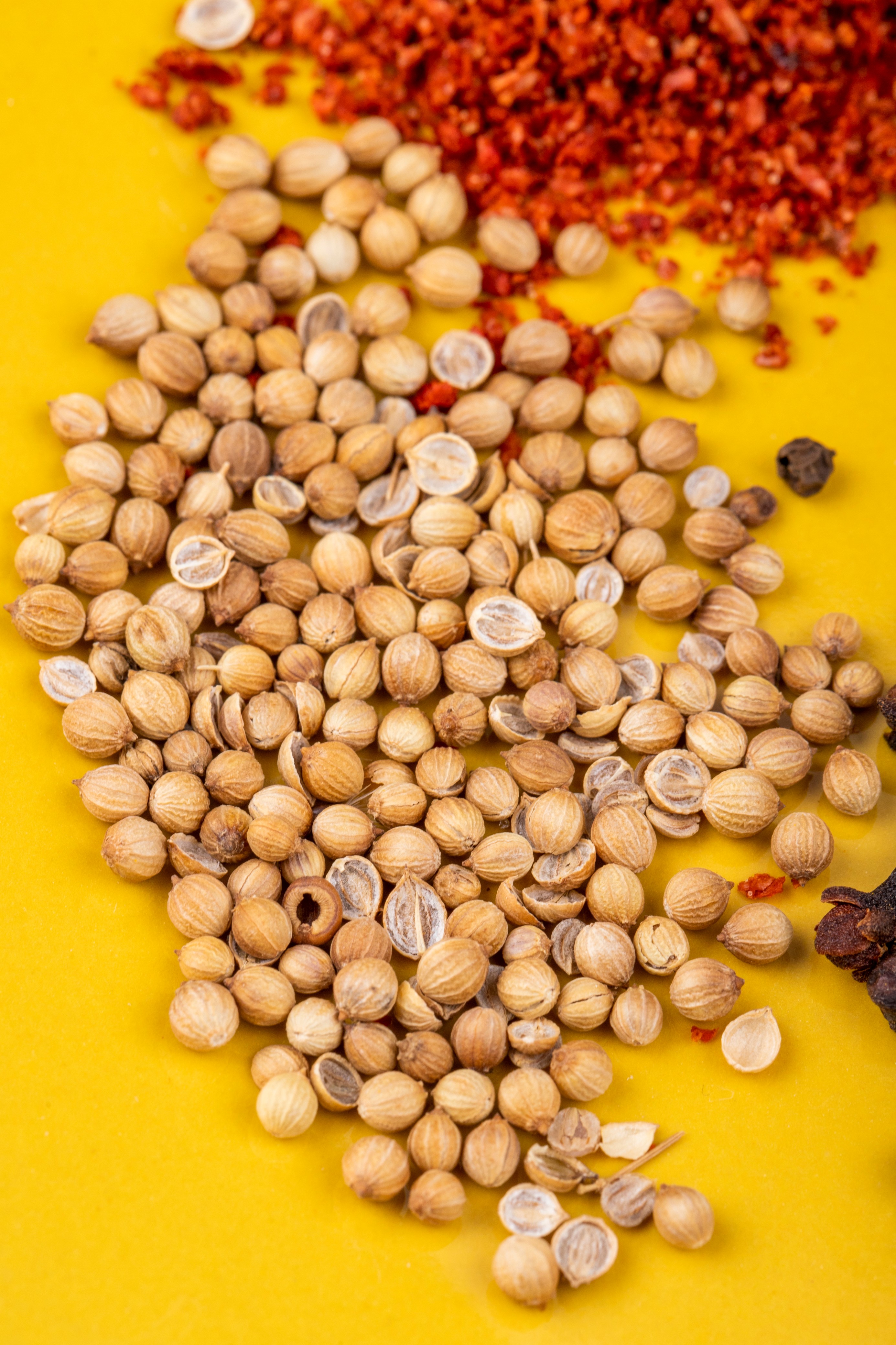 Coriander seeds dhania exporter India Rajkot