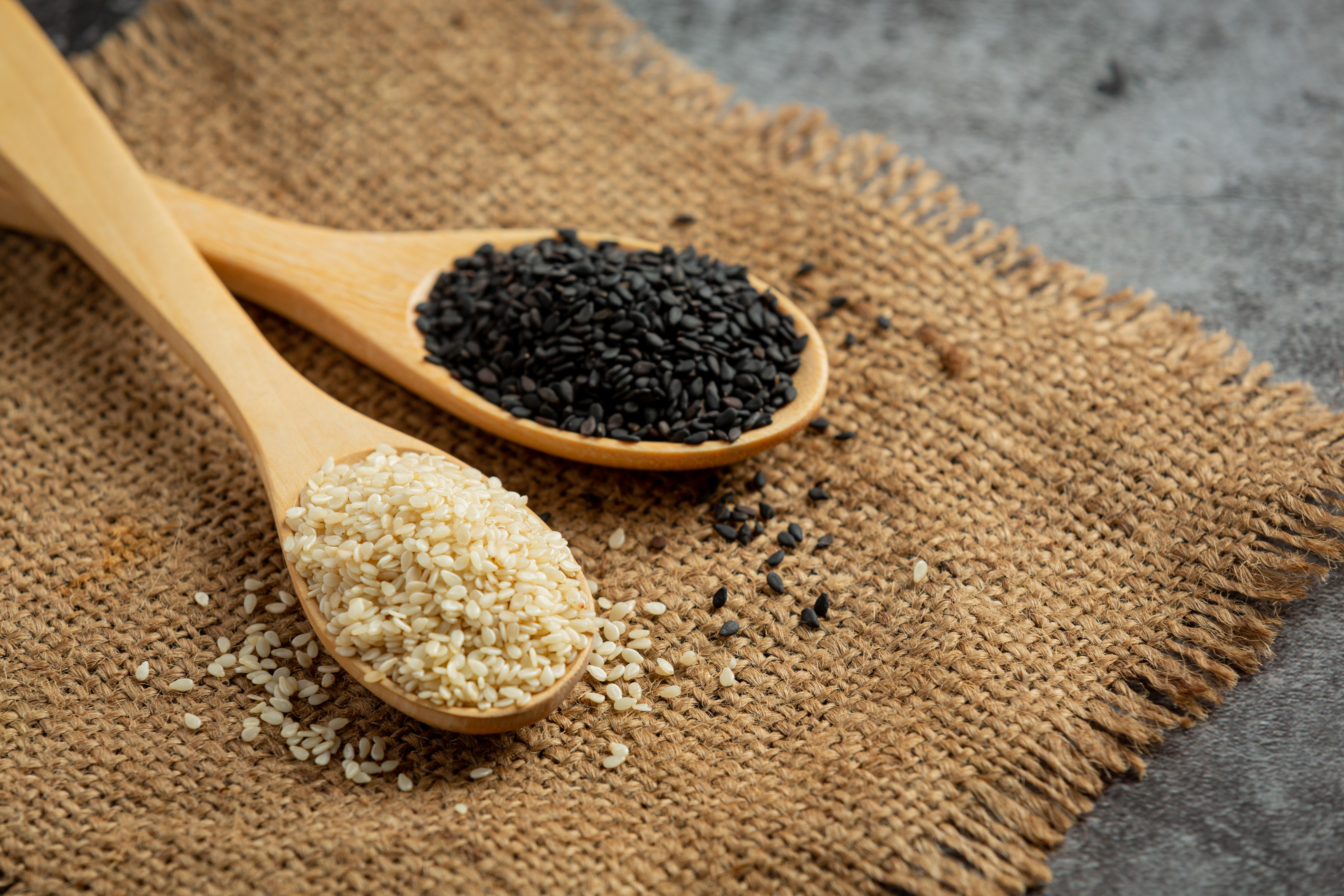 Sesame seeds til exporter India Gujarat